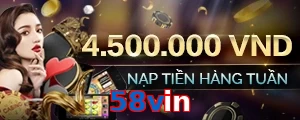 58vin