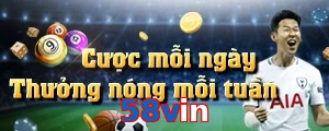 58vin